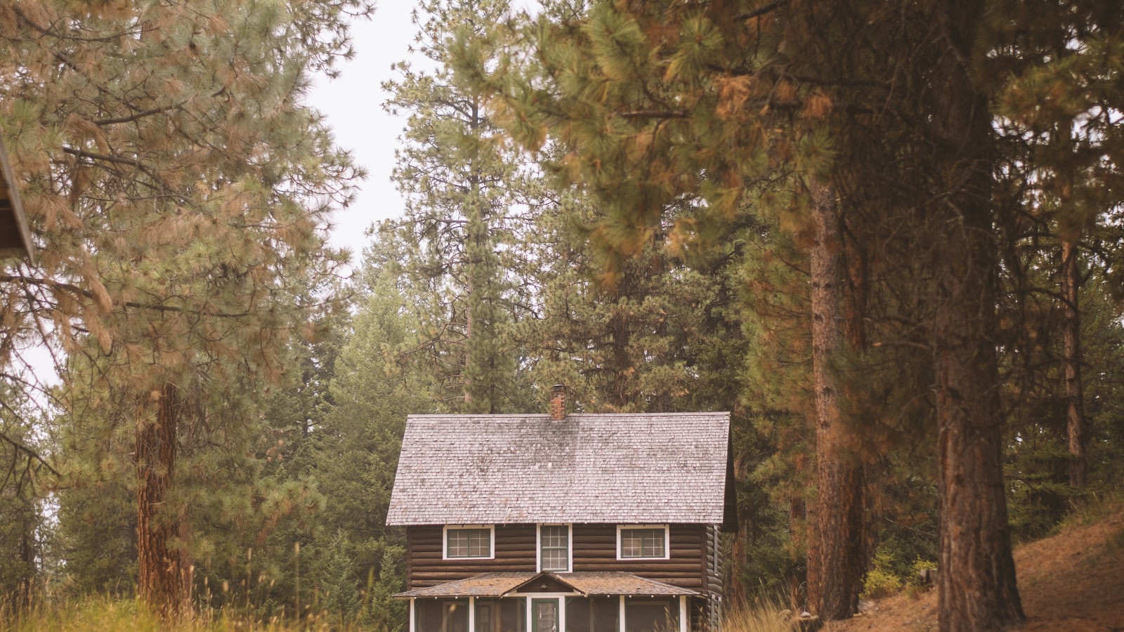 Rural homestead house surrounded by trees and open land
